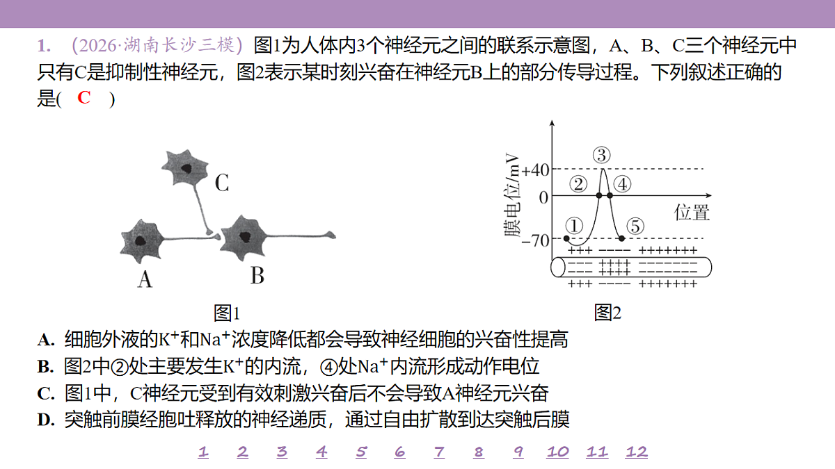 18233403第4页