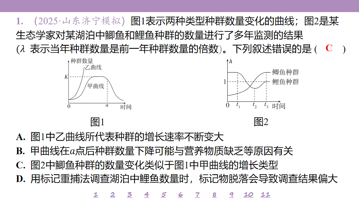 18233405第4页