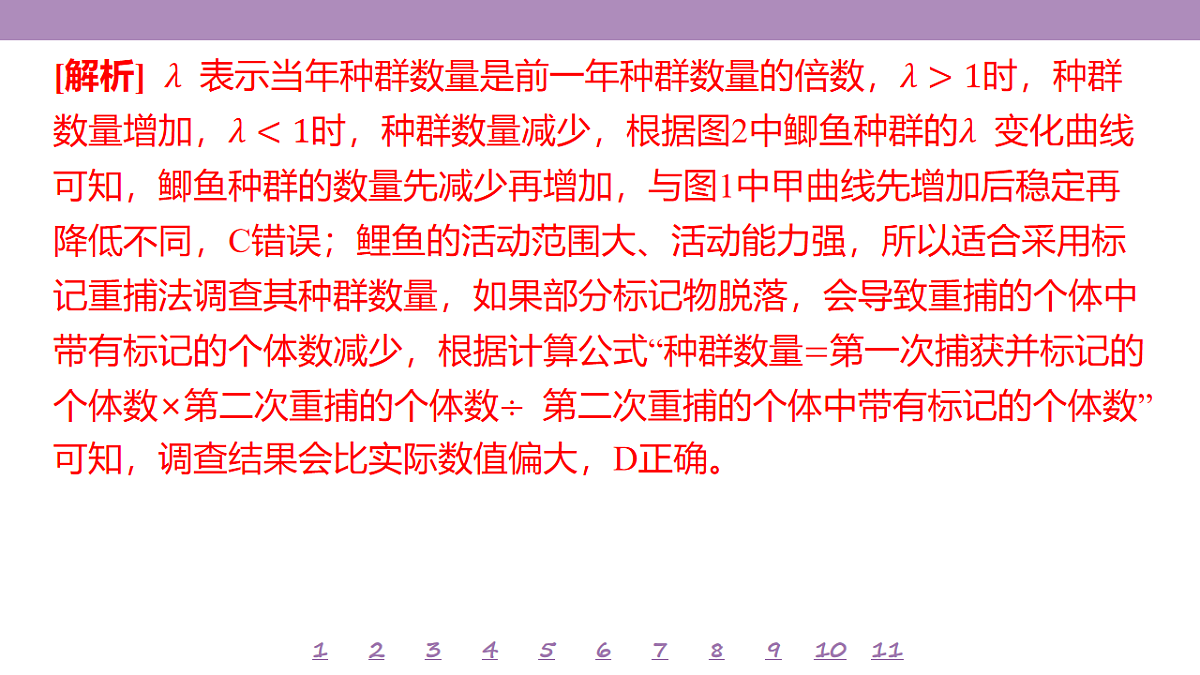 18233405第5页