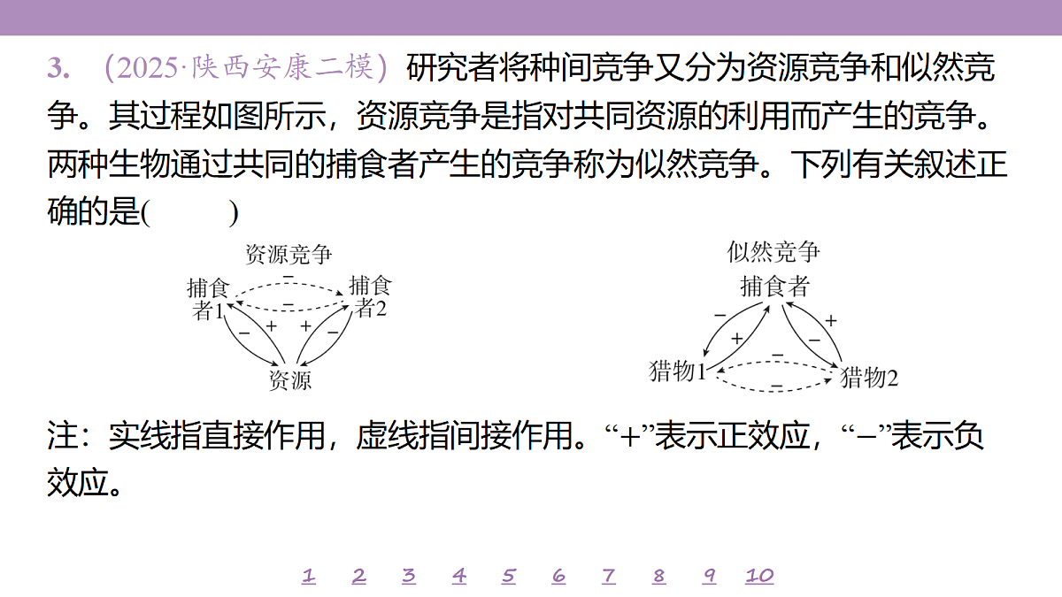 18233406第7页