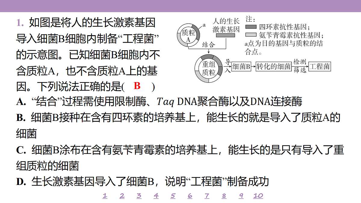 18233420第4页