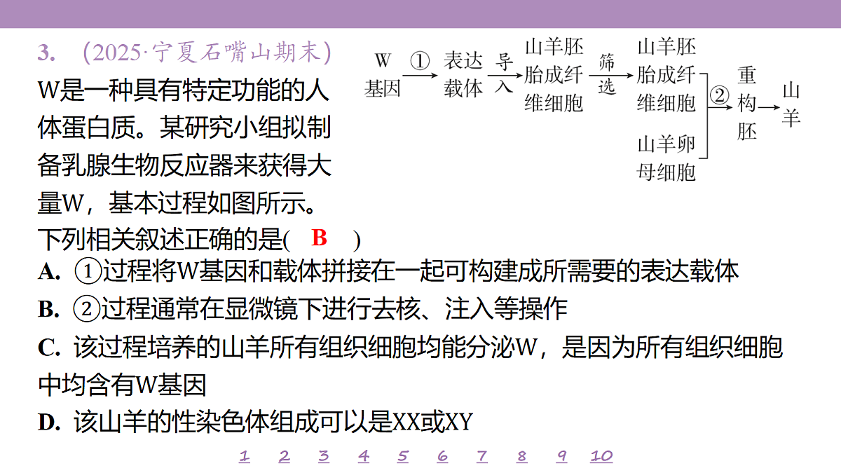 18233420第8页