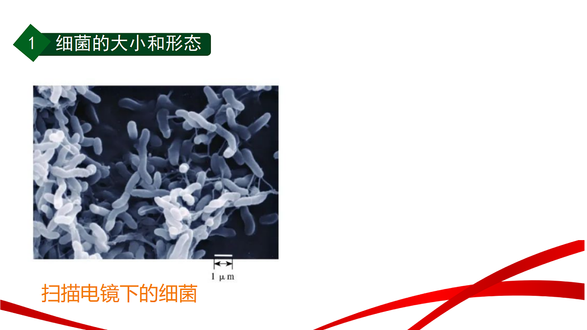 18235103第5页