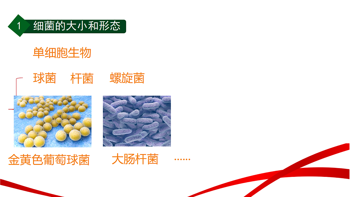 18235103第6页