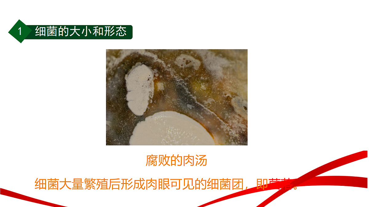 18235103第7页