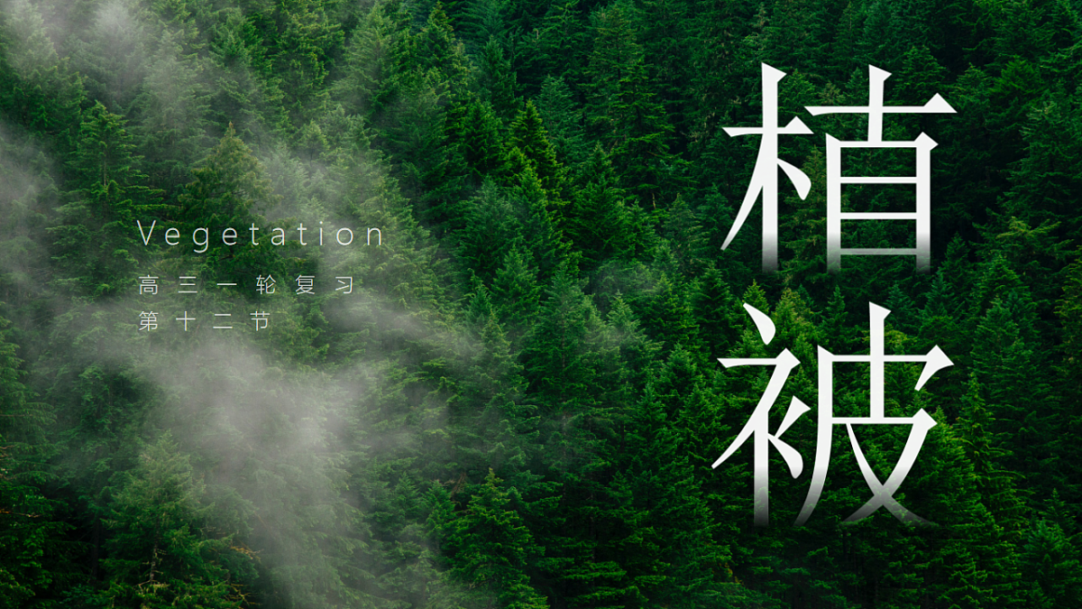 18235363第2页