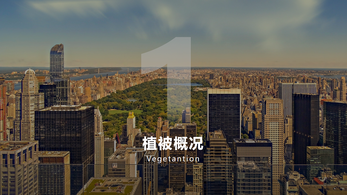 18235363第5页