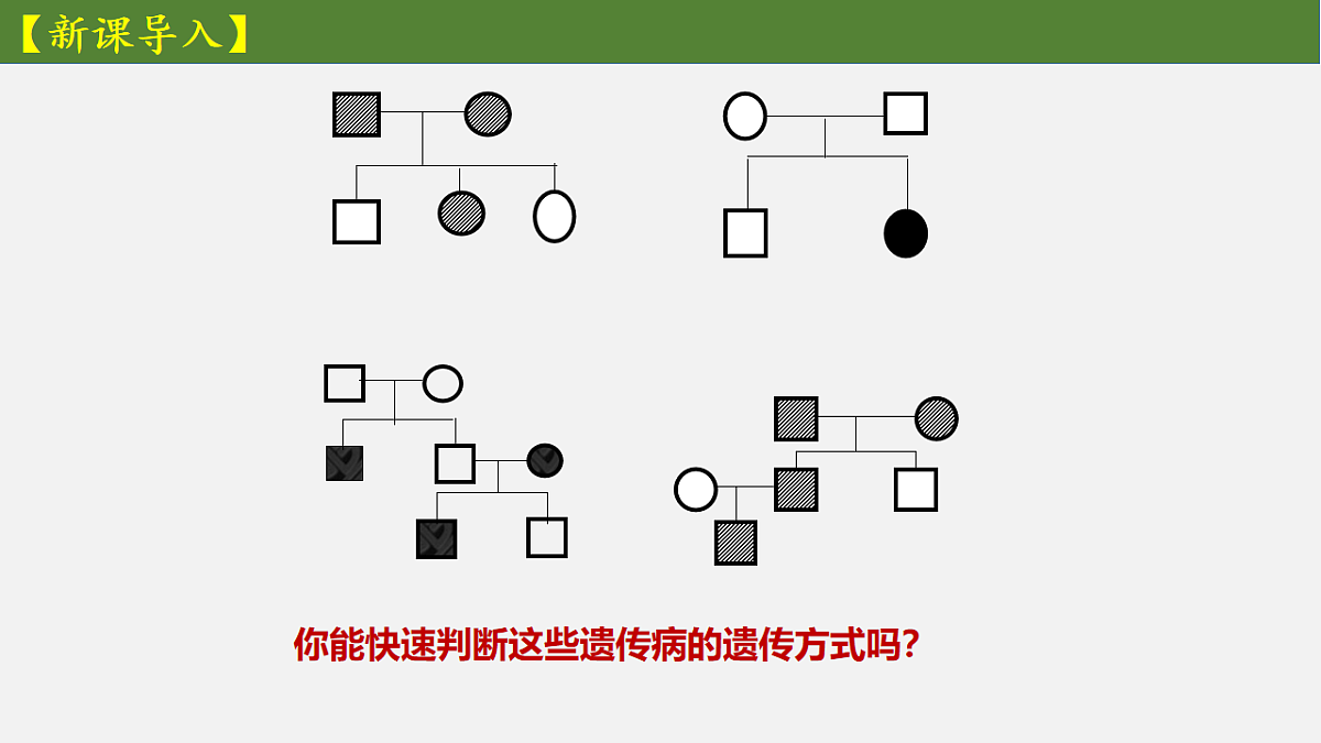 18235379第3页