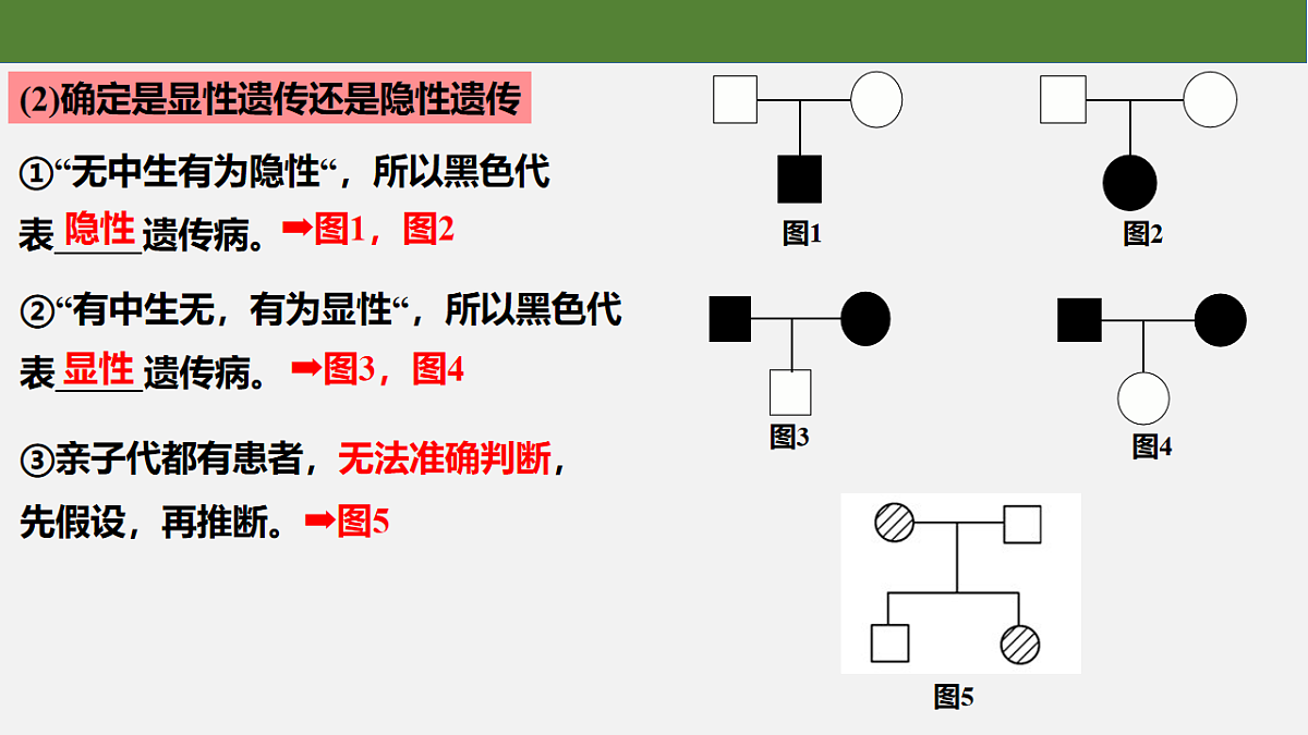 18235379第5页