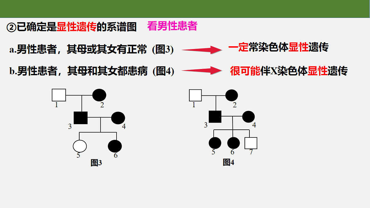 18235379第7页
