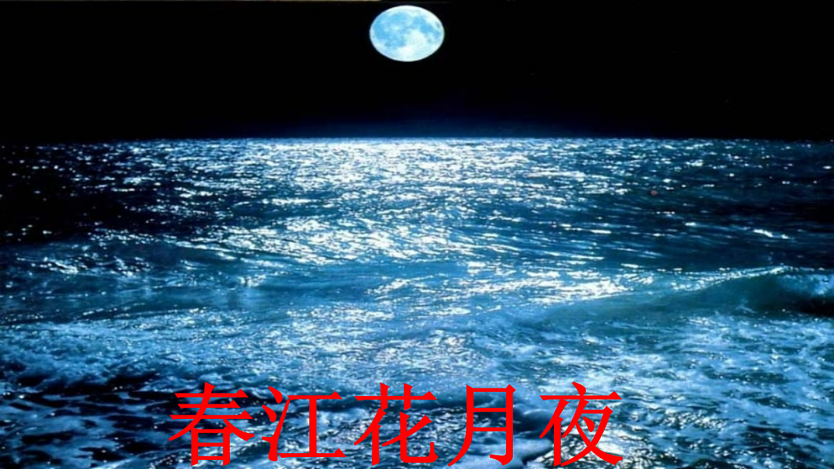 18236333第1页