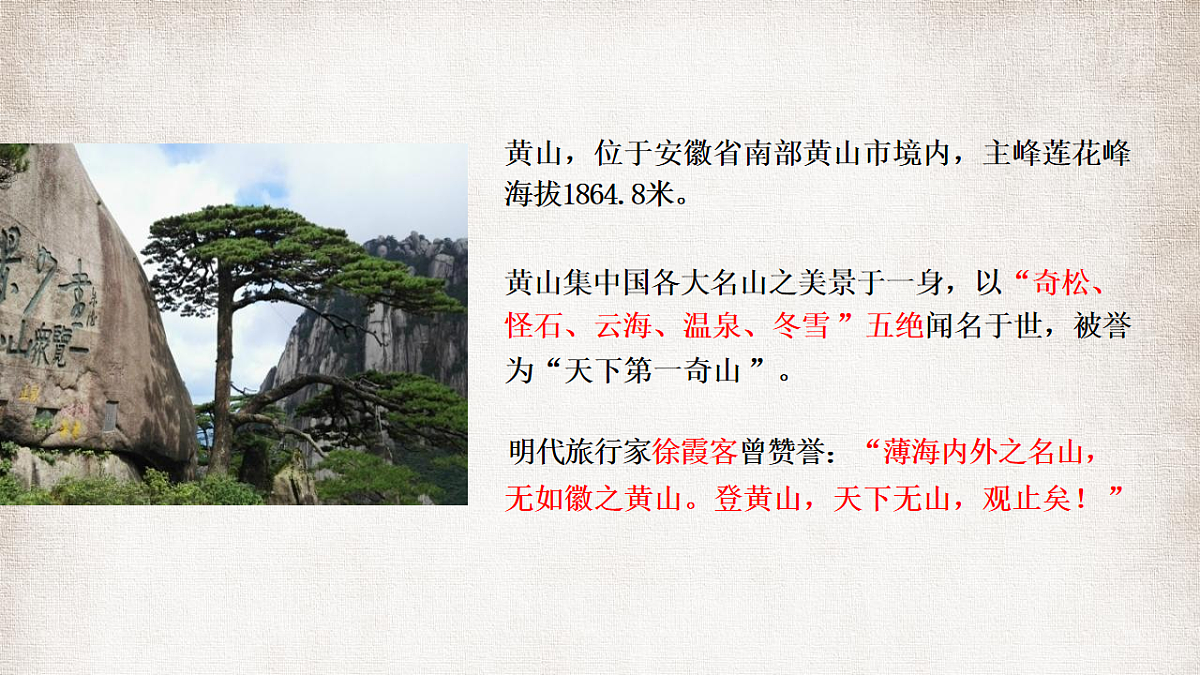 18236338第4页