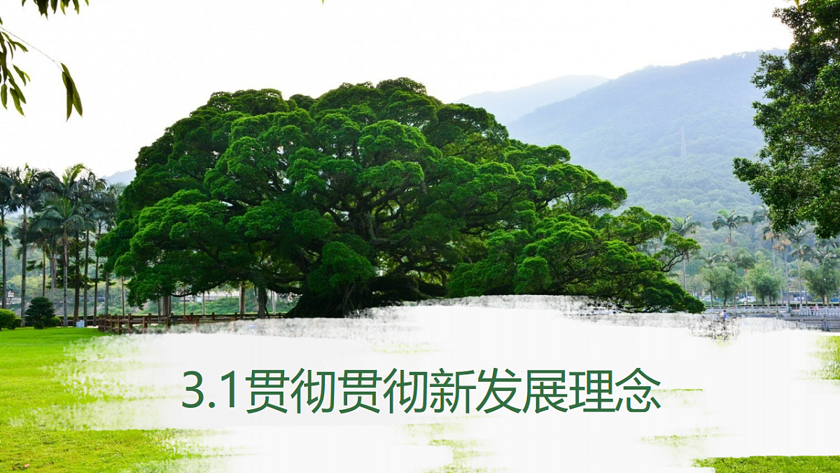 18236402第1页
