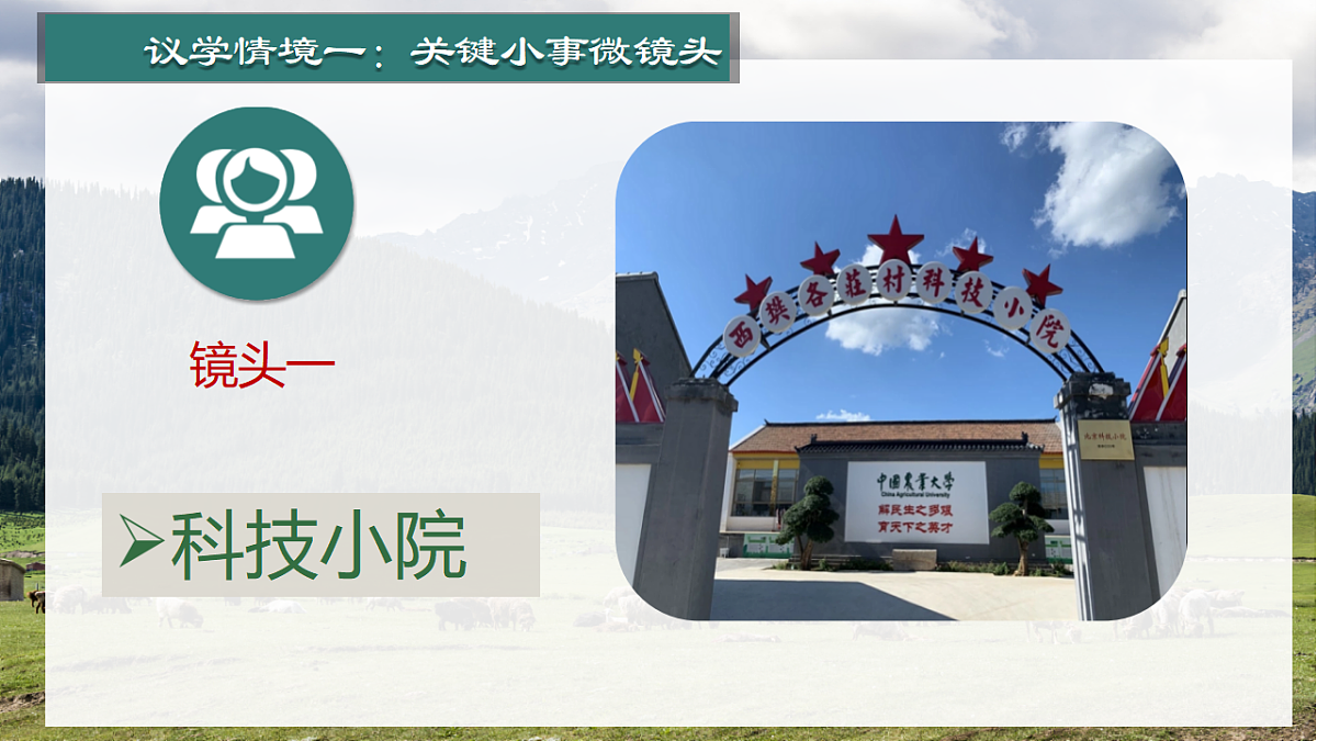 18236402第6页
