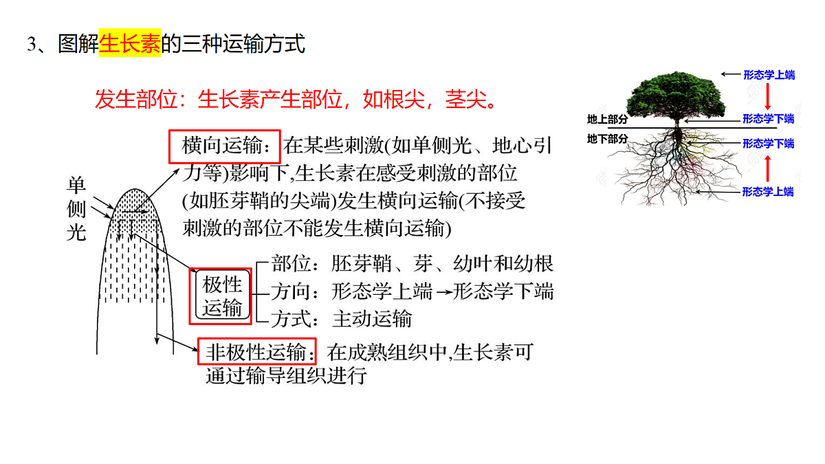 18237910第8页