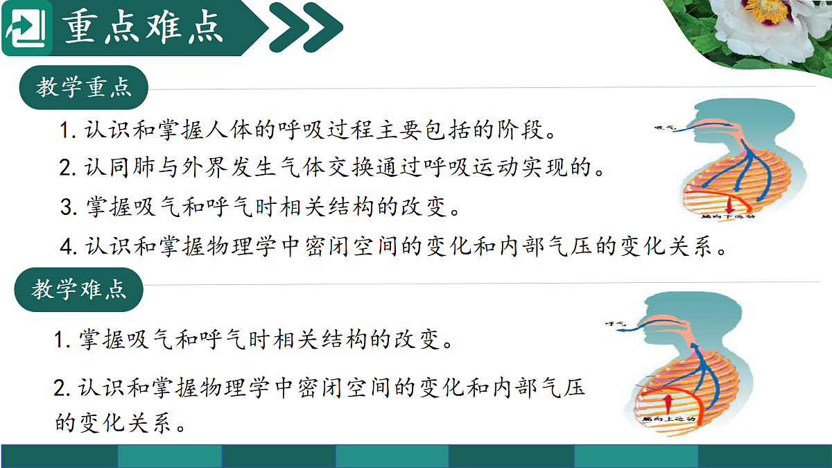18237932第3页