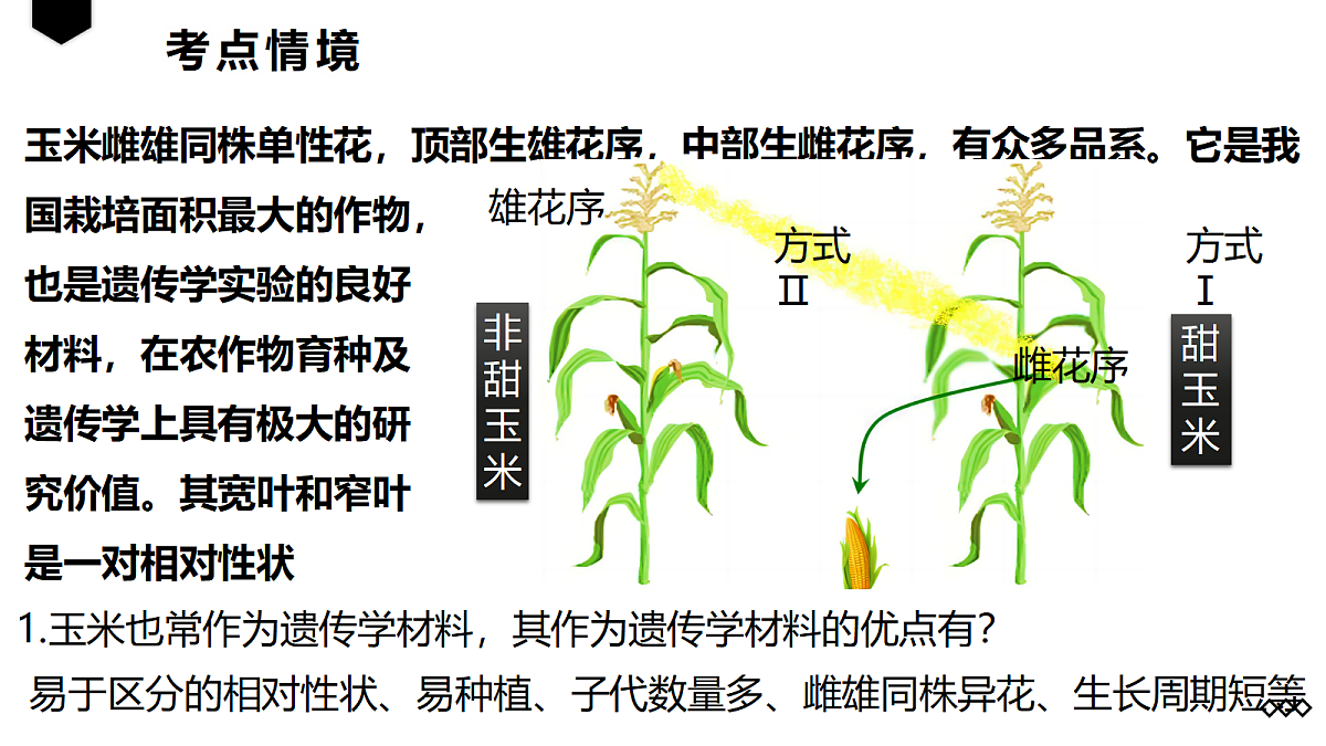18237940第2页