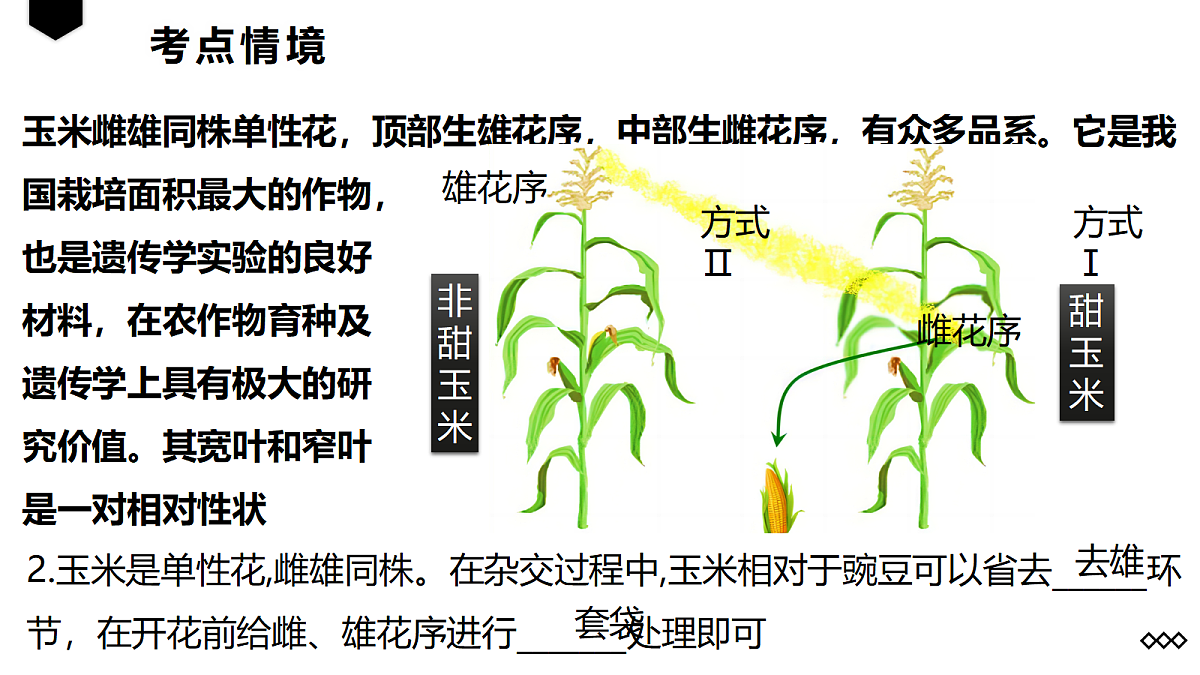 18237940第3页