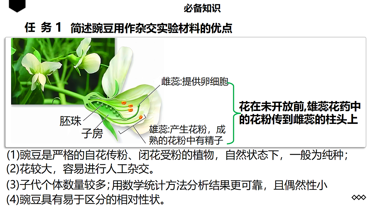 18237940第4页
