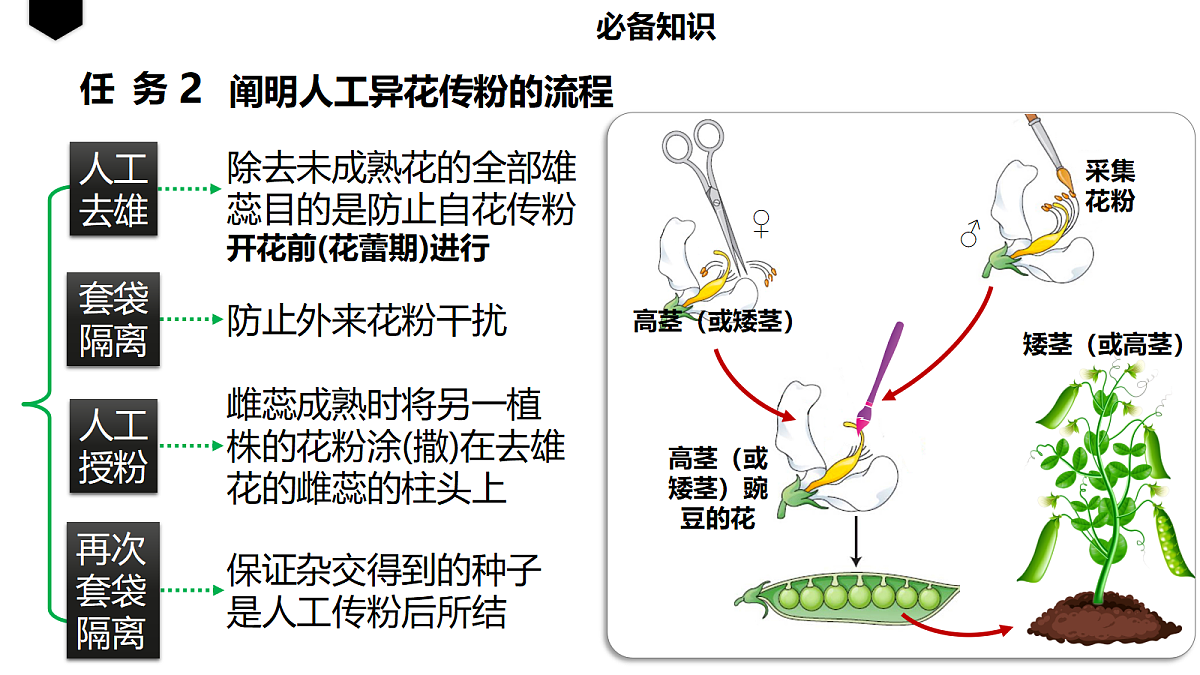 18237940第5页