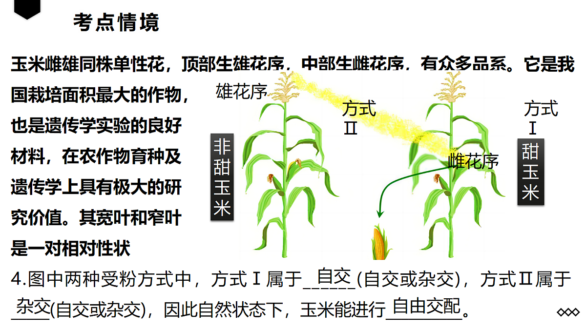 18237940第7页