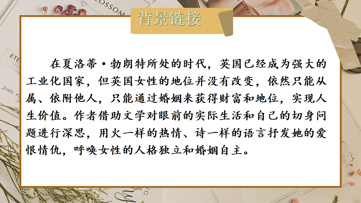 18237986第3页