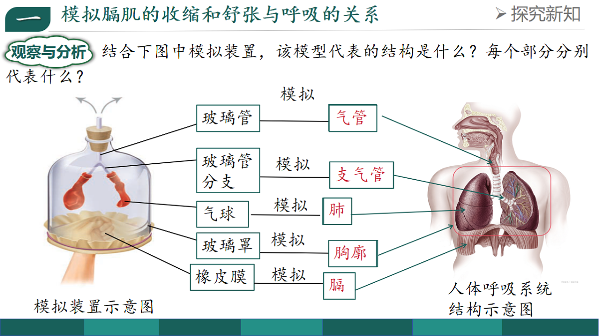 18238292第5页