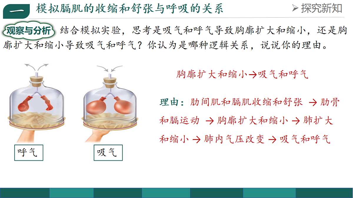 18238292第7页