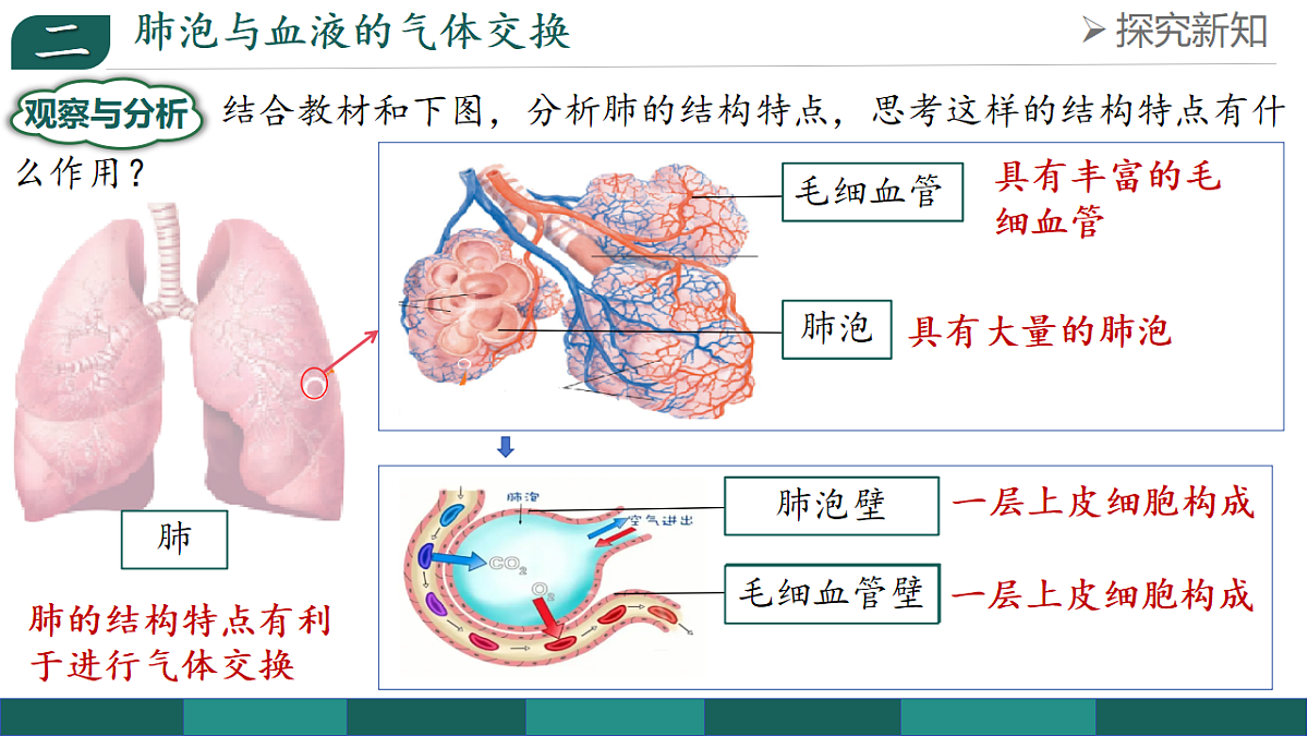18238292第8页