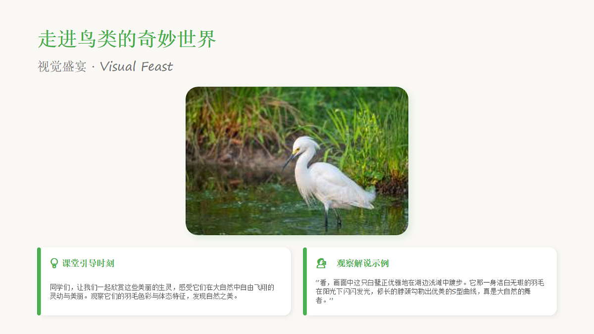 18238389第3页