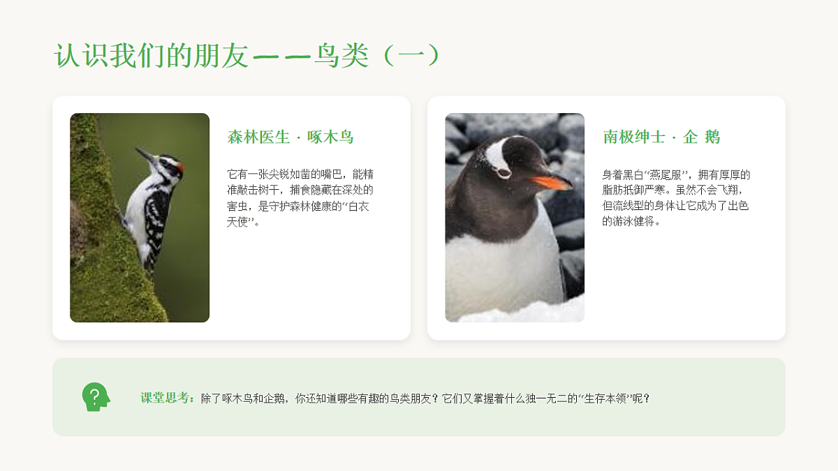 18238389第6页