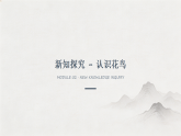 第六单元第十四课《鸟鸣枝头》教学课件-2025-2026学年岭南版（2024）初中美术七年级下册
