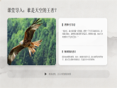 第六单元第十五课《鹰击长空》教学课件-2025-2026学年岭南版（2024）初中美术七年级下册