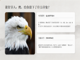 第六单元第十五课《鹰击长空》教学课件-2025-2026学年岭南版（2024）初中美术七年级下册