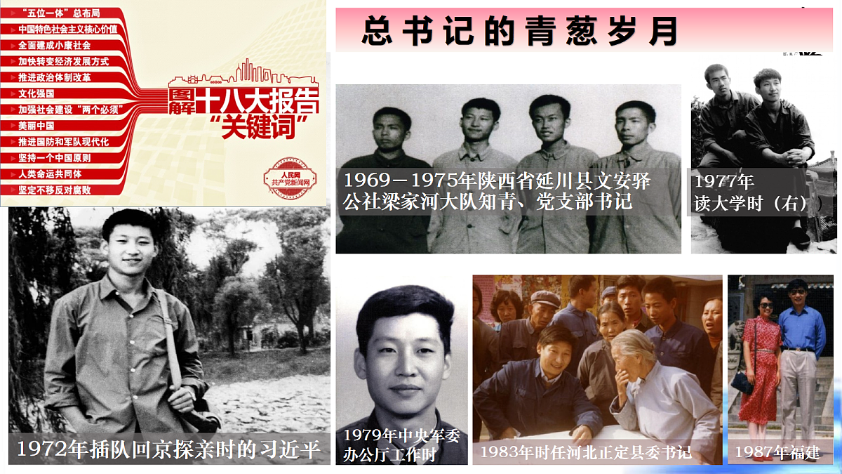 18238412第8页