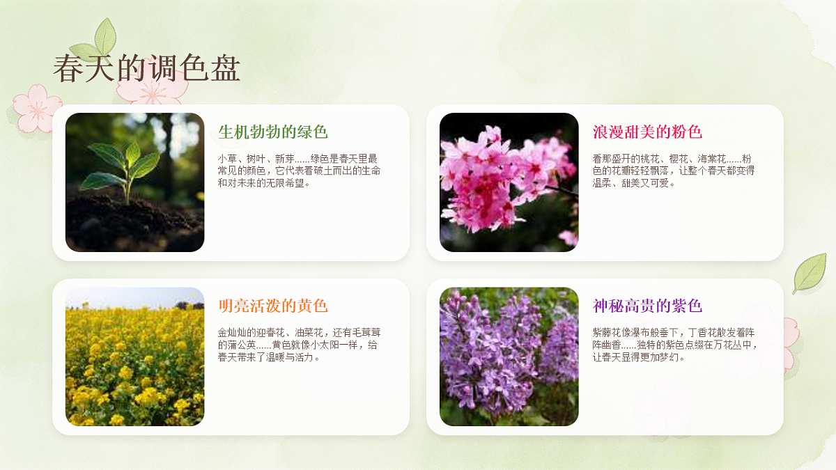 18238533第5页