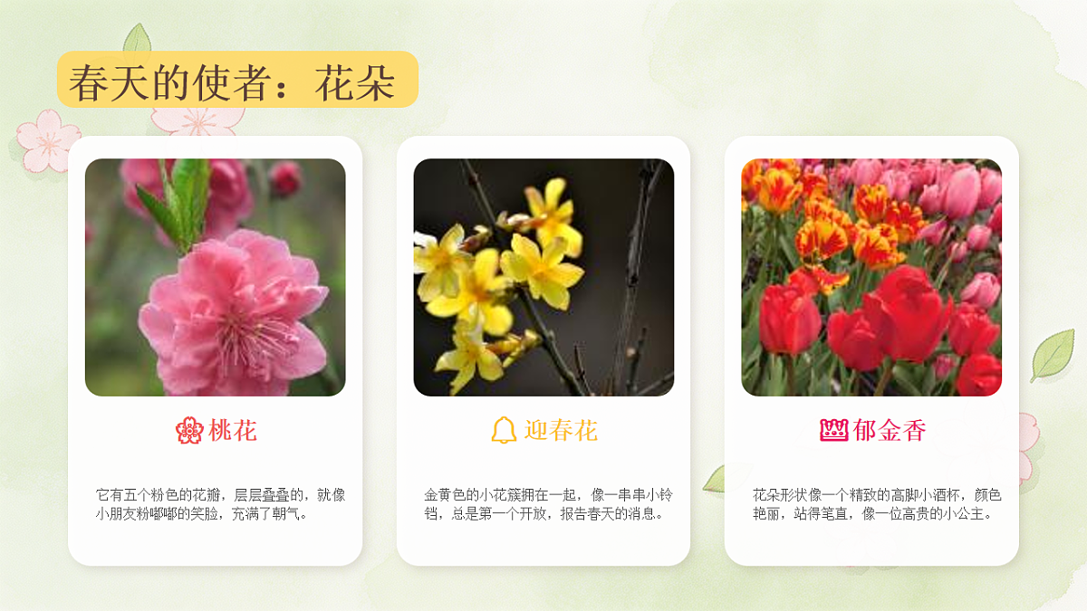 18238533第7页