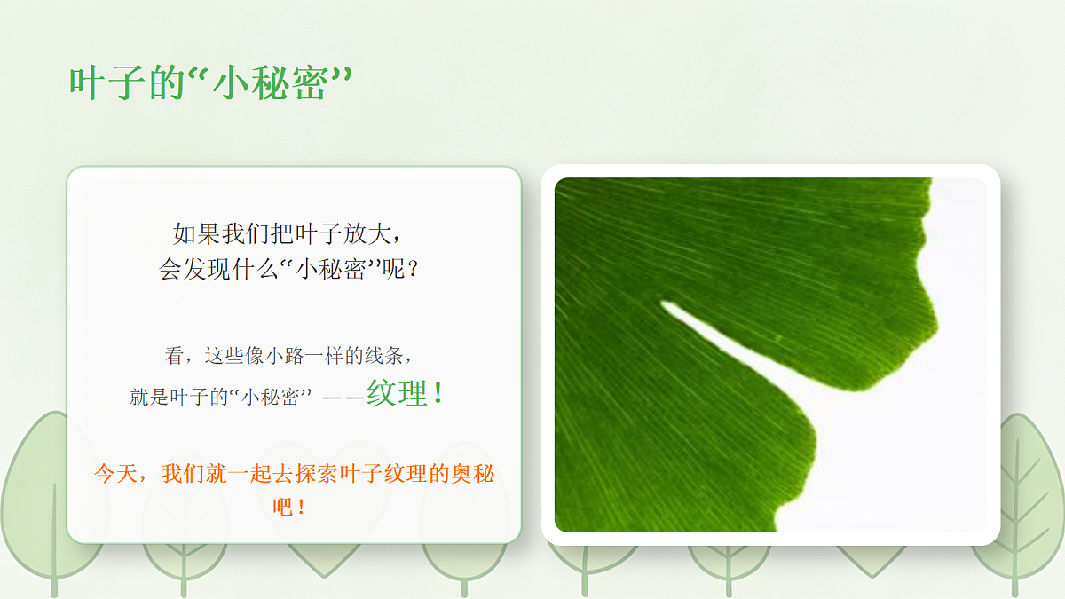 18238535第3页