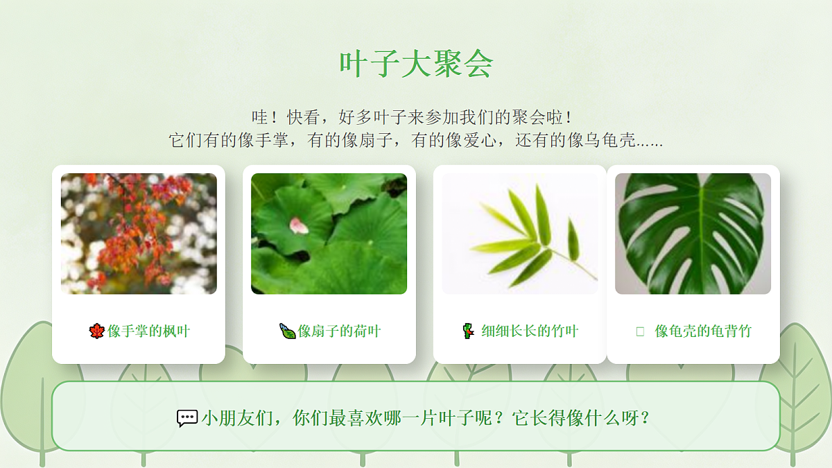 18238535第5页