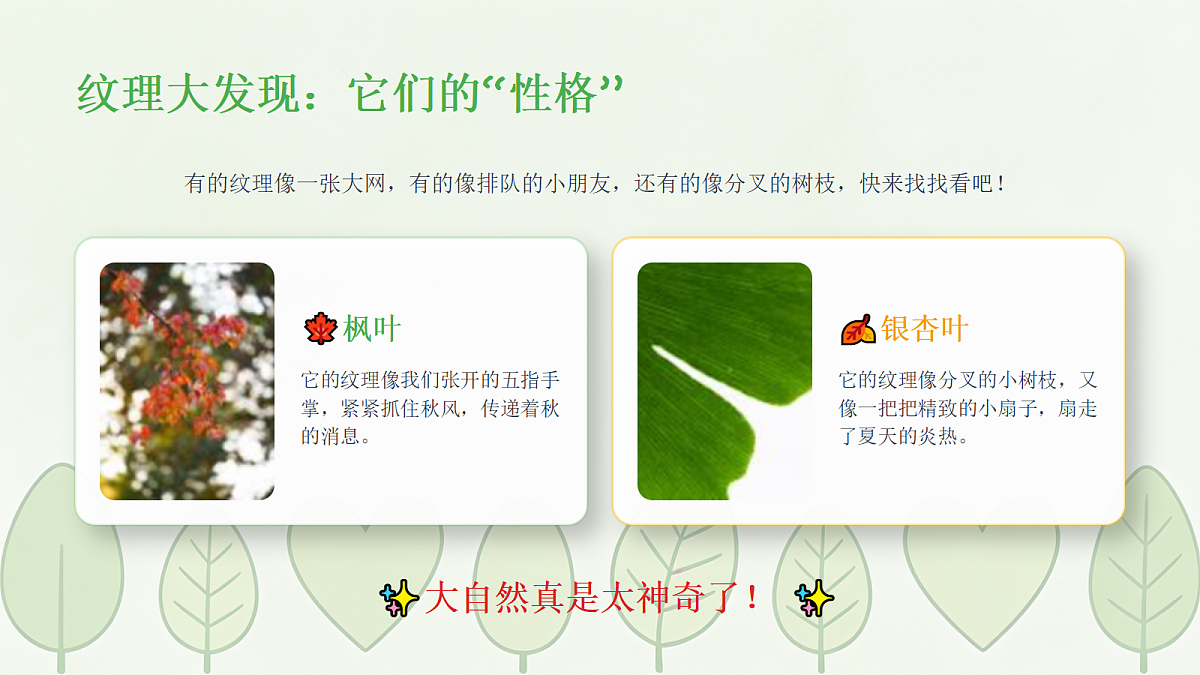 18238535第7页
