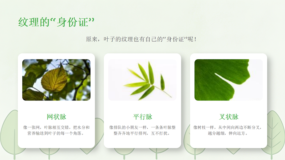 18238535第8页