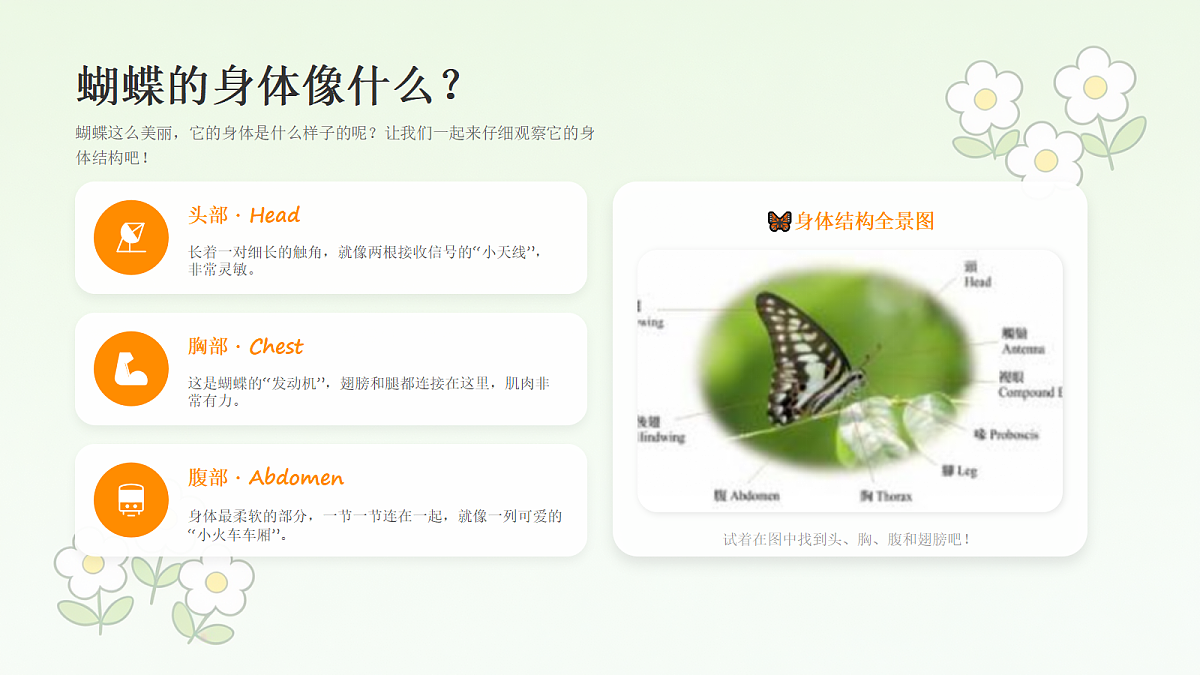 18238543第4页