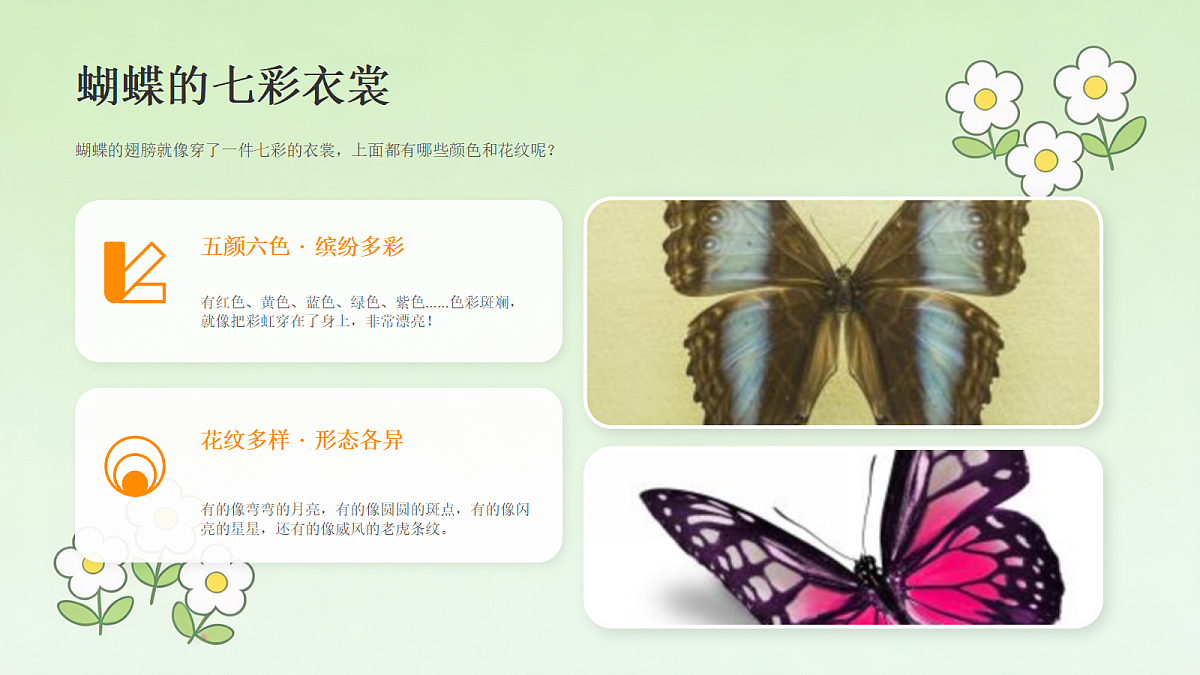 18238543第6页