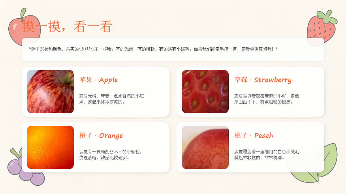 18238545第7页