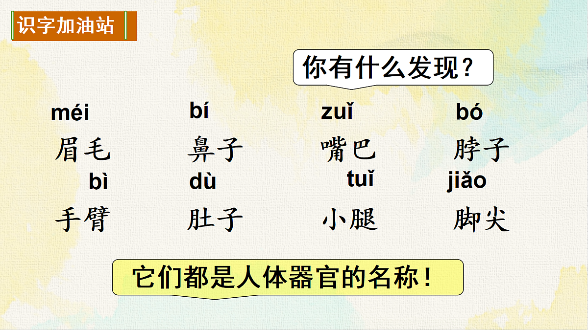18238586第2页