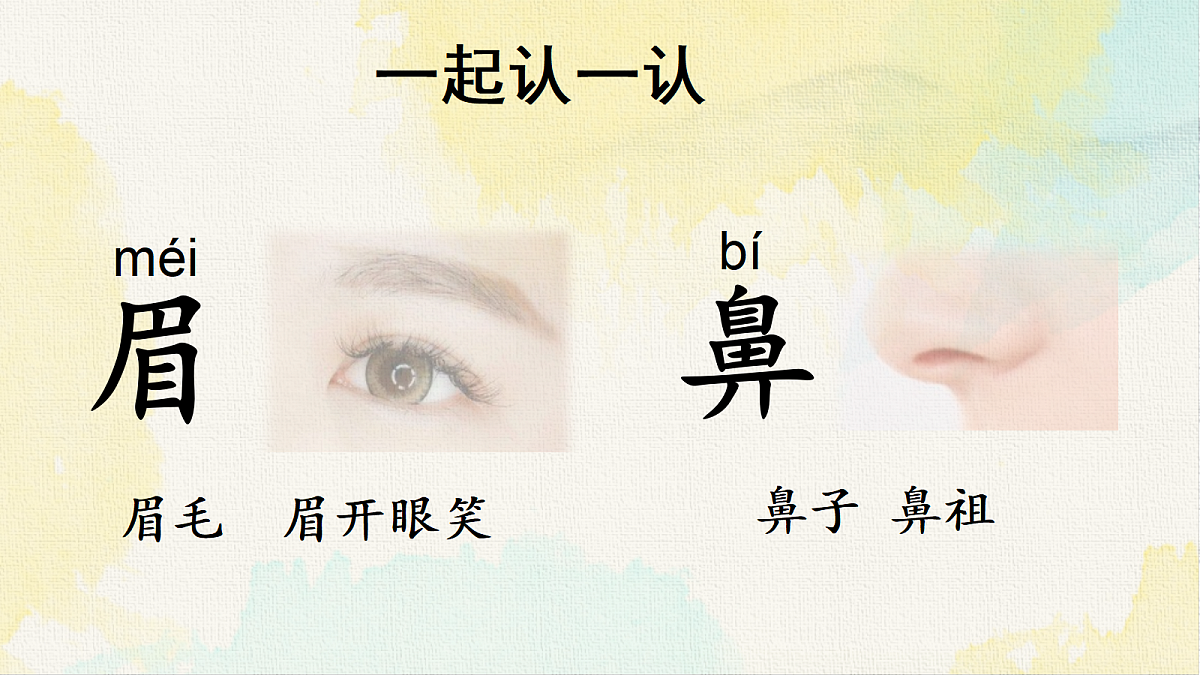18238586第3页