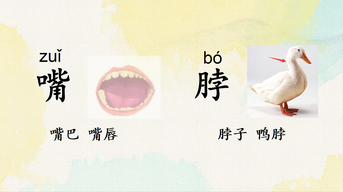 18238586第4页