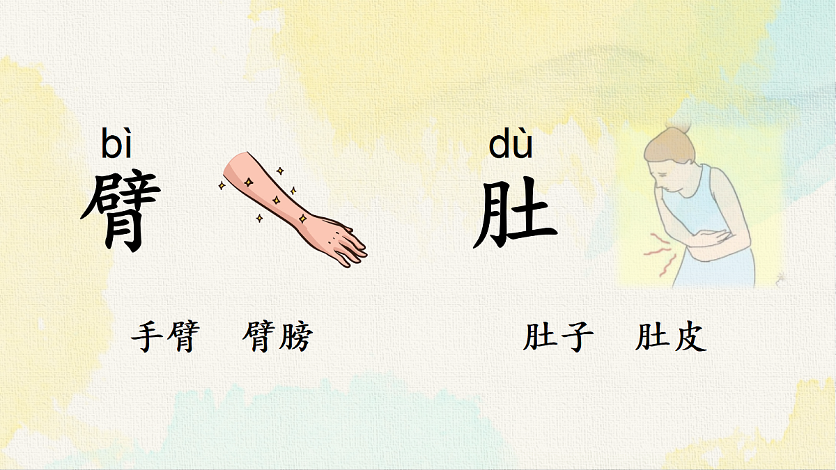 18238586第5页