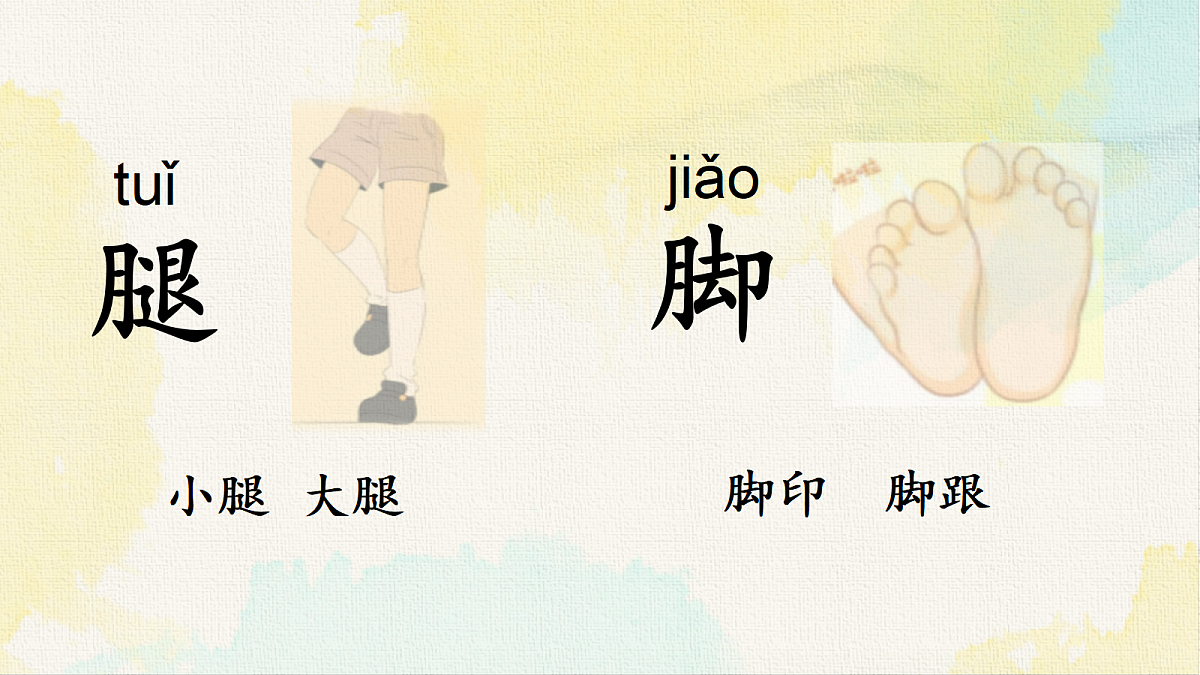 18238586第6页