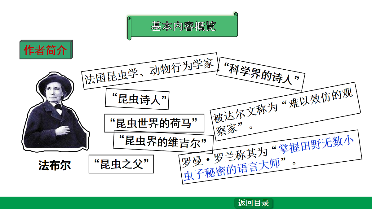 18238639第4页